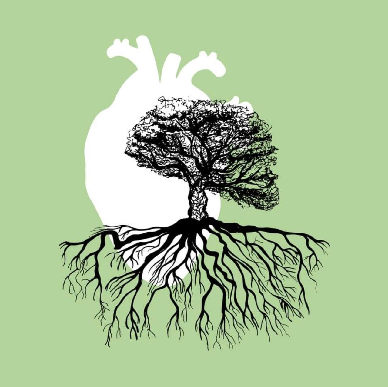 Logo Inmarscecible